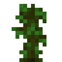 jungle_sapling